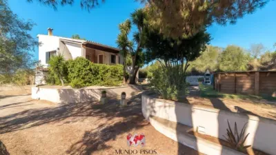 Rustic finca in Montuiri — photo 5