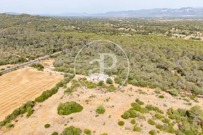 Exceptional Rustic Estate with Endless Possibilities for Sale in Sineu — photo 4