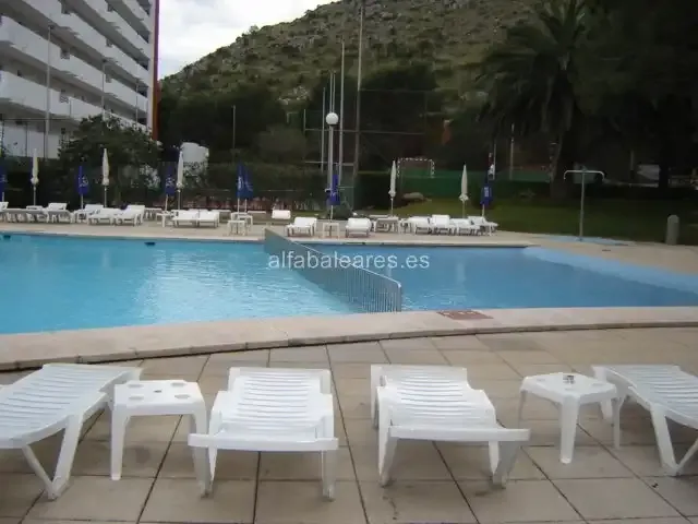 Apartment Description in Puerto de Alcudia — photo 7