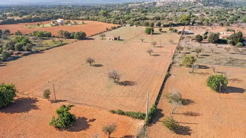 Finca of 24,823 m2 in Búger, currently with 337 m2 built, divided into 217 m2 of house with stables, a 60 m2 building, 147 m2 — photo 9