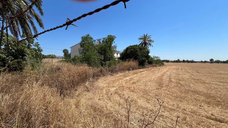 Mallorcan finca for renovation with flat land and safareig — photo 5