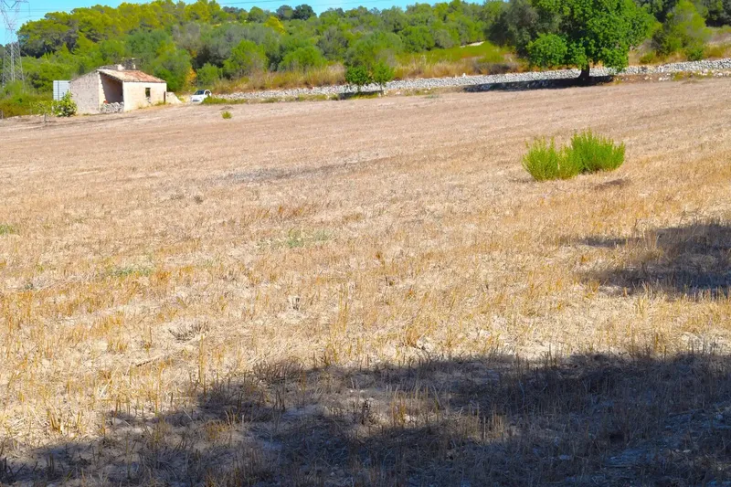 Finca rústica edificable de 32.462 m2, situada entre Llubí y Santa Margalida, en un entorno tranquilo y con hermosas vistas abiertas a la Se — photo 6