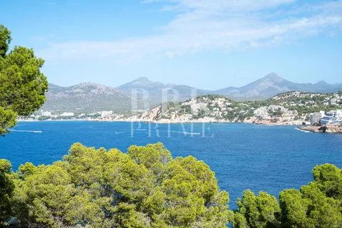 Land in Calvia, Mallorca — photo 8