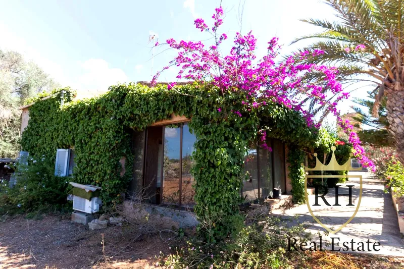 Beautiful Mallorcan home with endless possibilities — photo 2