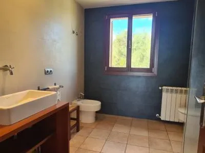 Finca for sale 3 km from Manacor — photo 11
