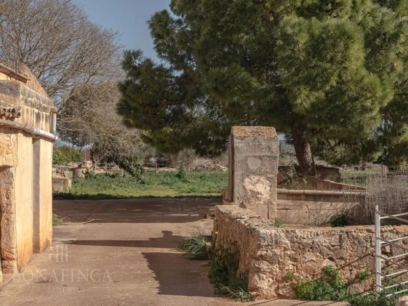 Luxury home in Felanitx, Province of Balearic Islands — photo 6