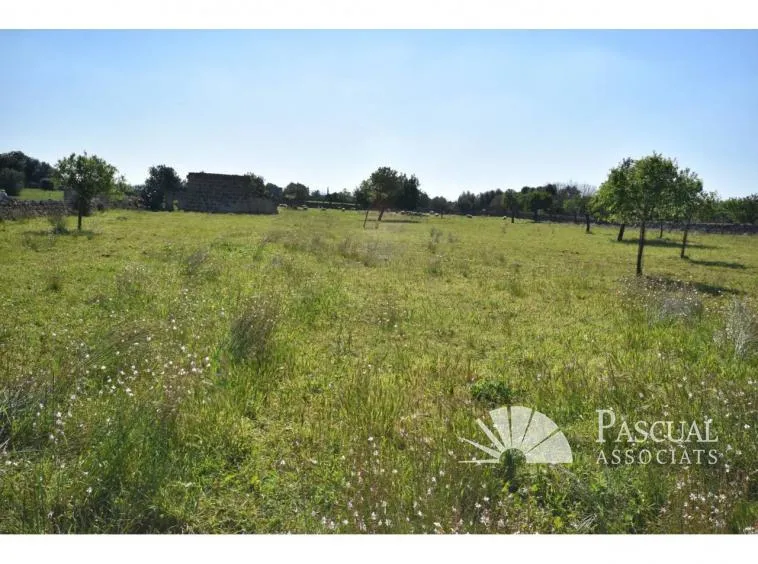 Finca with sea views and approved project in Santa Margalida — photo 9