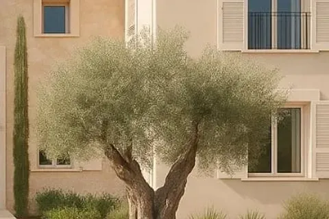 Land in Ses Salines, Mallorca — photo 8