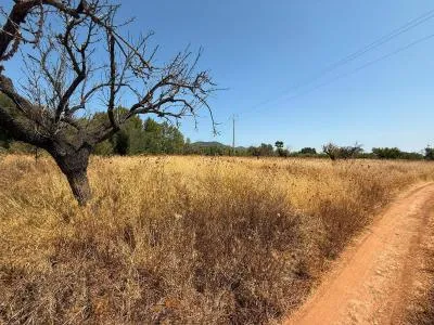 Rustic Land - Consell — photo 2