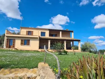 Finca for sale 3 km from Manacor — photo 8