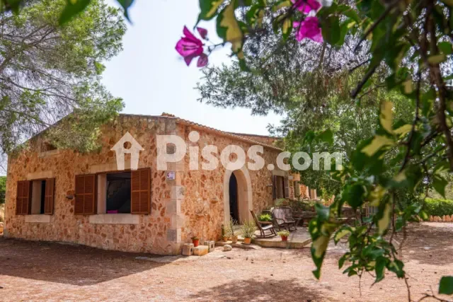 Rustic finca on Calle Es Molí — photo 1