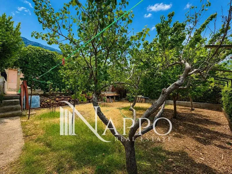 Nappo Real Estate is pleased to present this traditional Majorcan house located in Sóller, one of the most charming villages in — photo 5