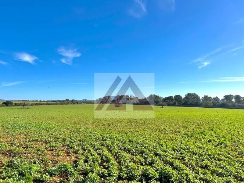Ländlichles Land zu verkaufen in Campos — photo 12