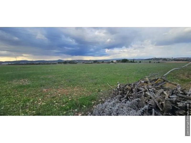 Plot for sale on Camino de Son Reixach s/n — photo 7