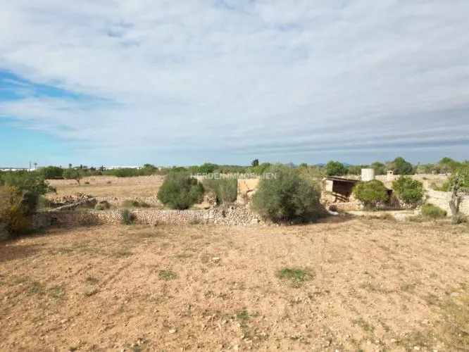 Building Plot for Sale in Llucmajor — photo 5