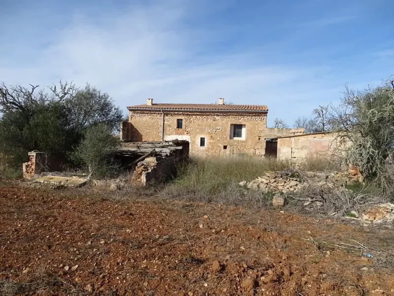 Estate of more than 22,000 m2, located between Campos and Santanyi, within the municipality of Campos, about three kilometers from the village of Campos — photo 7