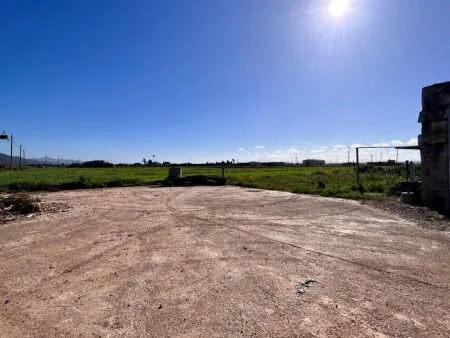 Rustic property - Sa Pobla (Pobla Sa), Built Surface 197m², Plot Surface 15727m², 1 Room — photo 4
