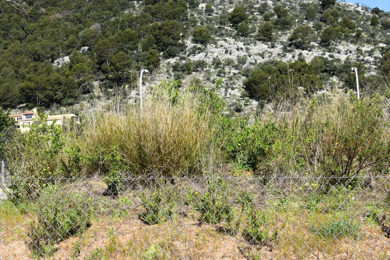 Plot to build two single-family homes in Alaró — photo 10