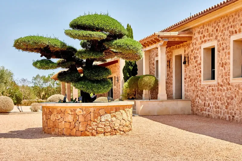Una propiedad única en Mallorca que combina privacidad, naturaleza, amplitud y excelentes instalaciones, a solo 4 km de Llucmajor. Magnífica — photo 6