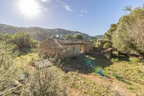 Rustic finca — photo 1
