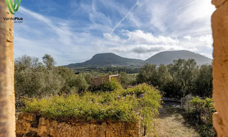 Charming rustic finca in Randa — photo 2