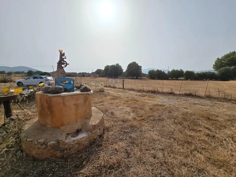A blank canvas of almost 25,000 m2 in the center of Mallorca with its own well? Yes, it exists. — photo 5