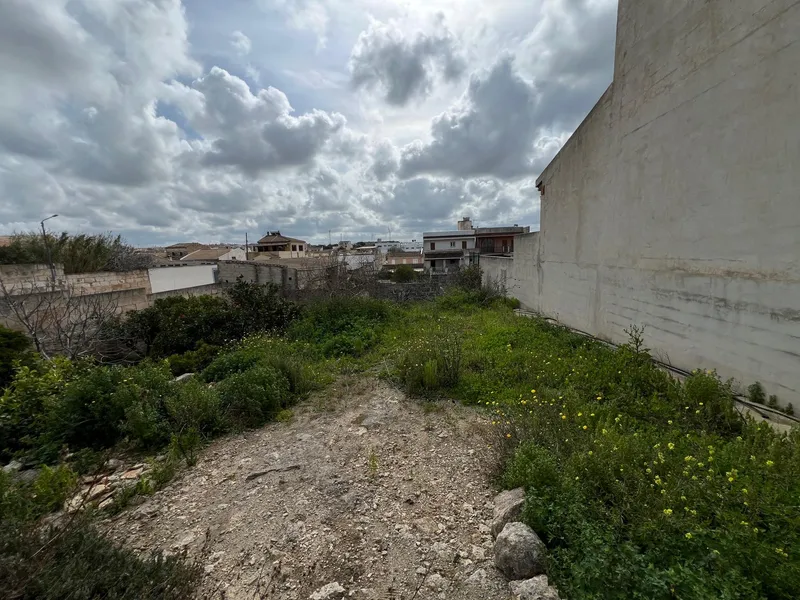 Large Plot with Building Potential in Muro — photo 2