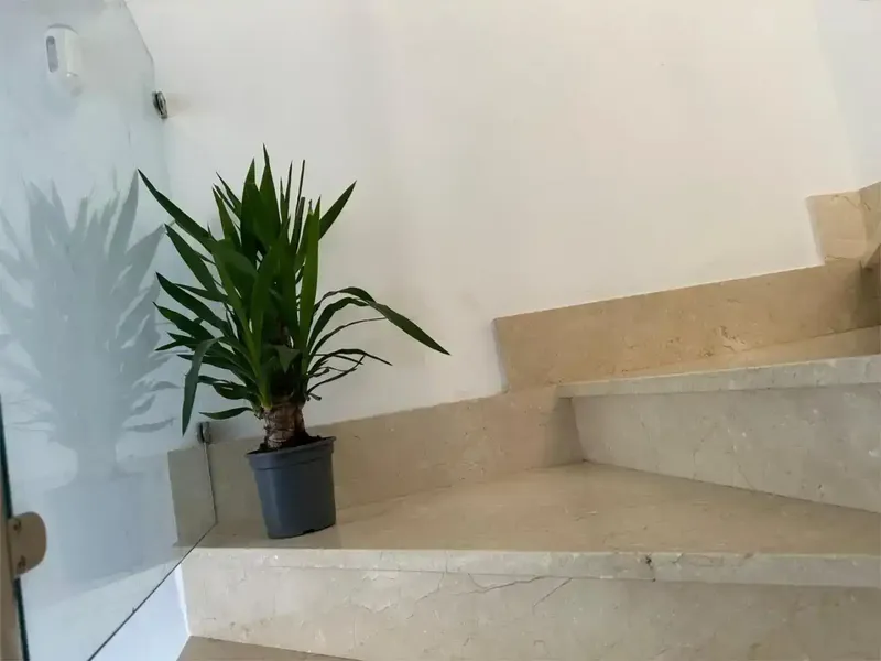 NO INMOBILIARIAS — photo 8