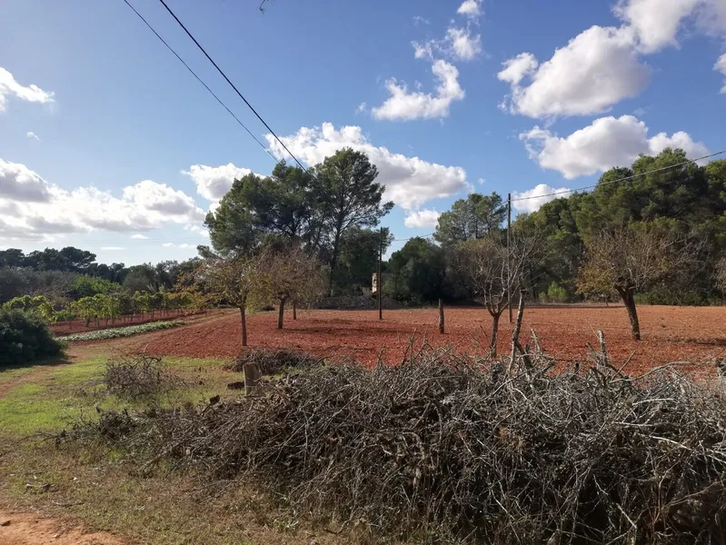 Buildable rustic plot. Fully fenced — photo 9