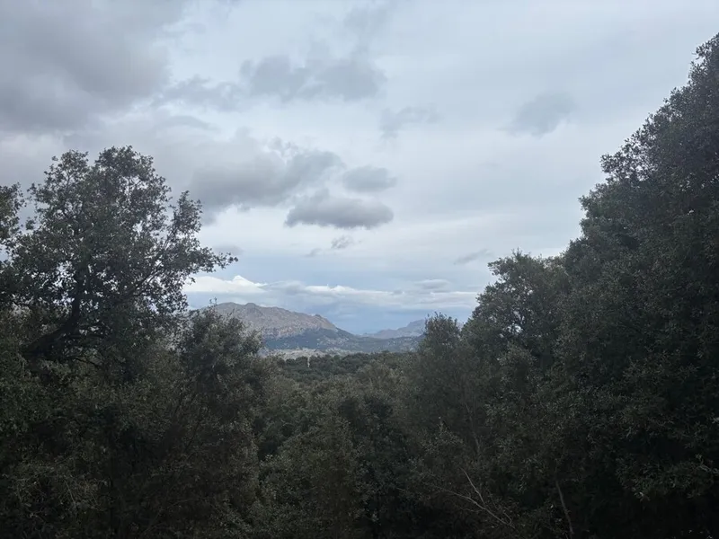 Magnificent Buildable Plot in Son Massip, Escorca — photo 2