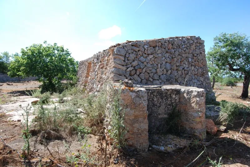 Interesting rustic plot between Santanyi and Es Llombards — photo 1