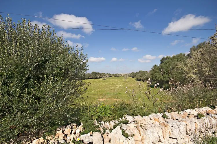 Es Llombards plot with building project G02962 — photo 10