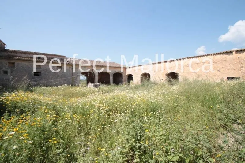 851,360 m² estate with 600 m² living space for sale — photo 4