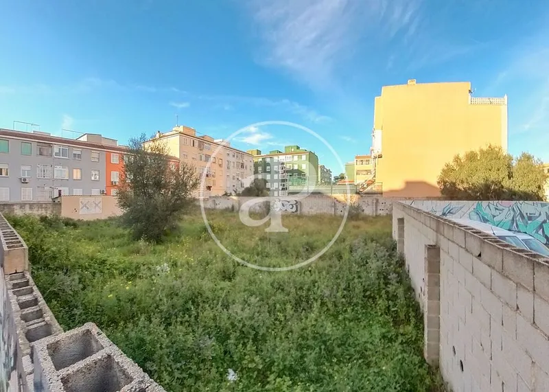 Land in Palma de Mallorca, Province of Balearic Islands — photo 2