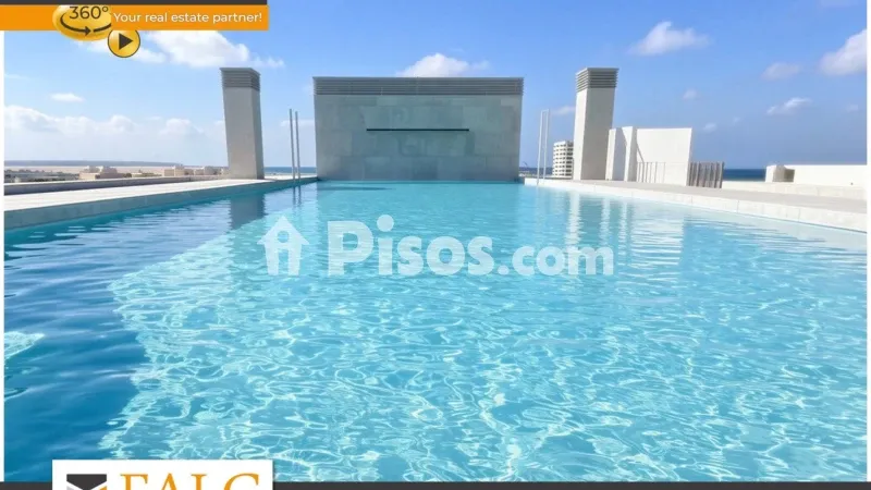 Apartment in Nou Llevant — photo 2
