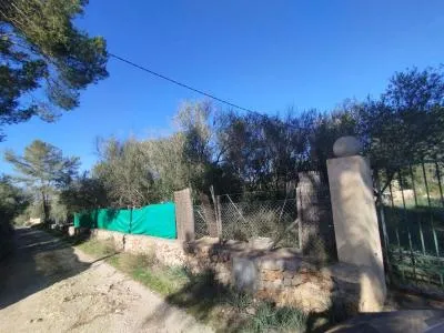 Rustic Land - Sencelles (Es Ravellar), Built Surface 6m², Plot Surface 7100m², Distance to the Sea 20... — photo 3