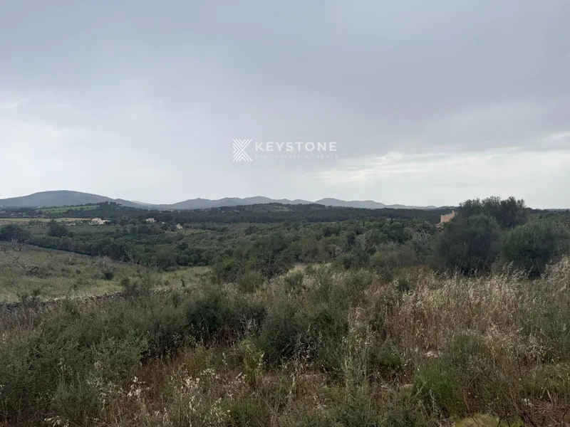 Plot — photo 12