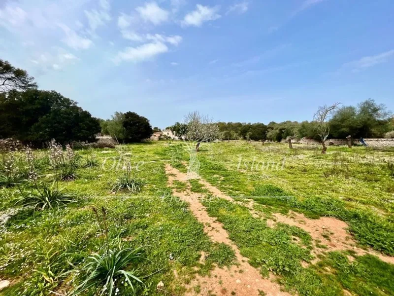 Land in Algaida, Province of Balearic Islands — photo 11