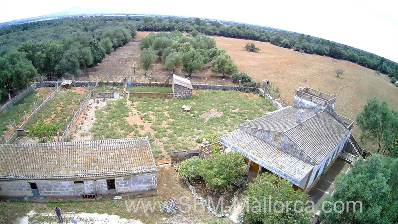 Finca in Vilafranca de Bonany - Country Mansion, Finca XXL — photo 10