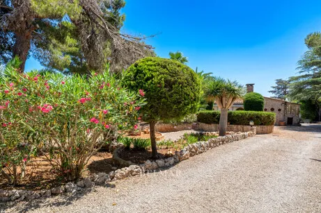 Pure island feeling! Single-storey property with adjoining building and garage near the beach of Cala Murada — photo 5