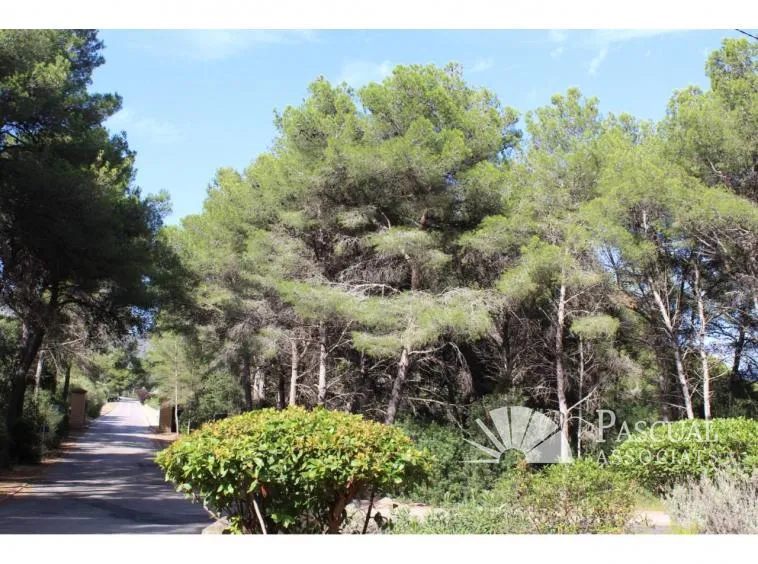 Plot for sale in Canyamel — photo 3