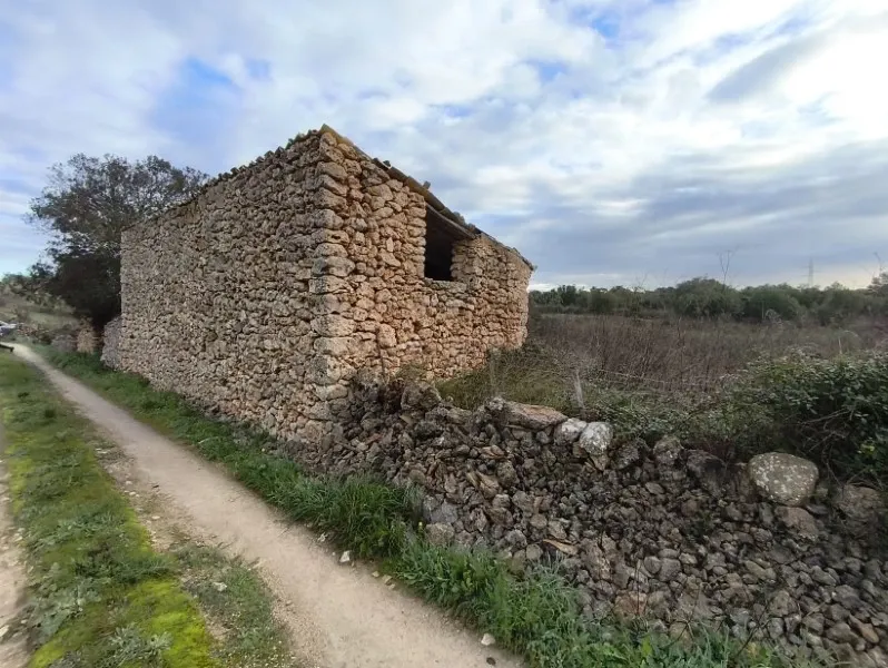 Rustic finca with great potential in Llubí - nature, privacy and possibility to build — photo 1