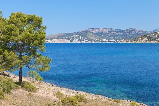 Urban plot with licence for luxury villa in Nova Santa Ponsa, Mallorca — photo 12