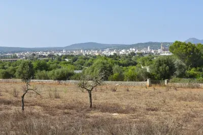 Land in Manacor — photo 9