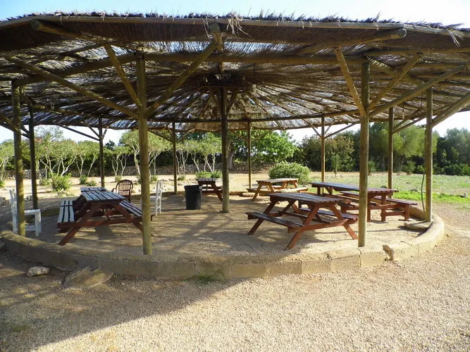 Finca with license for up to 23 places and pool near Calas de Mallorca — F 50 CM — photo 12