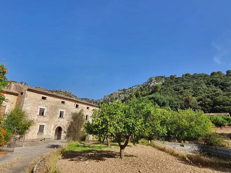 26026VC - Finca Histórica a reformar en la Serra de Tramuntana, Alaró. — photo 1