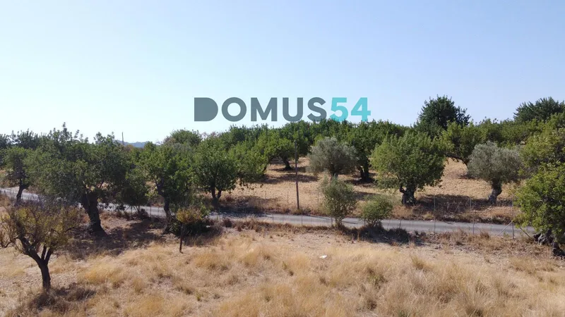 Rustic building plot in Moscari with project and license — photo 10