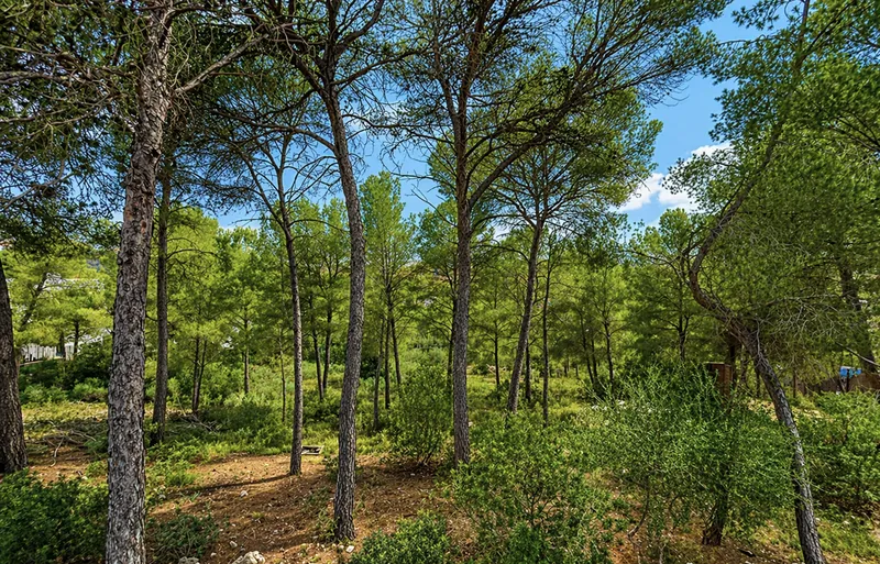Magnificent Frontline Golf Plot in Nova Santa Ponsa More — photo 5