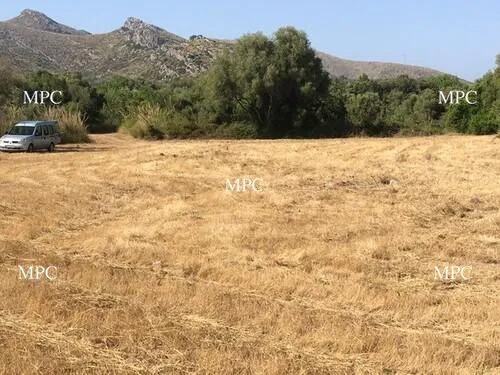 Rustic property with olive trees and possibility to build in Capdepera — photo 1