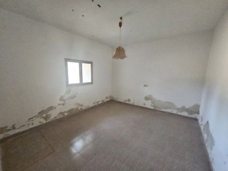 Finca, many outbuildings and land near Portocristo - Son Carrio — photo 10